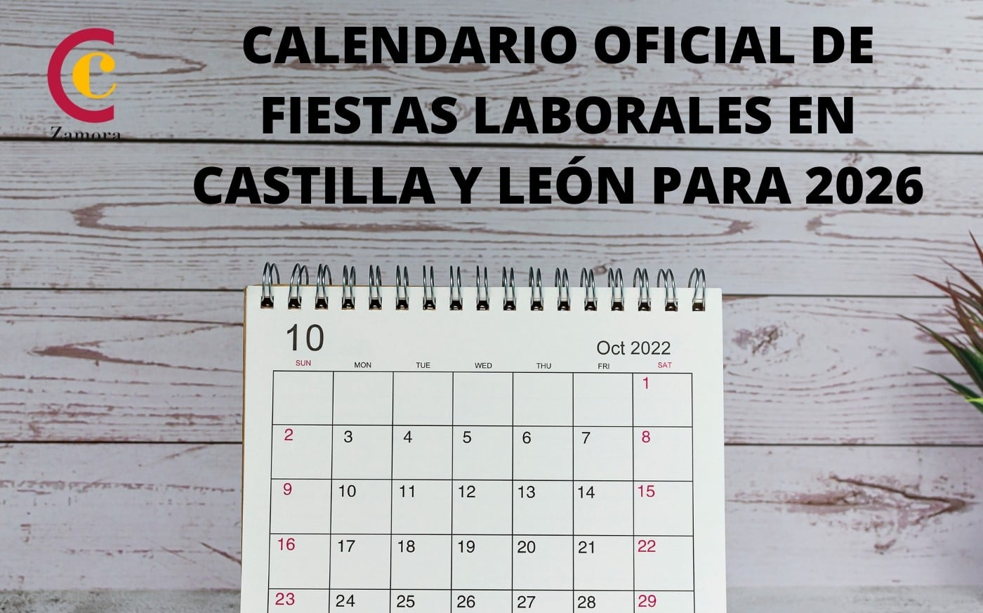 Calendario Laboral Oficial De Castilla Y León Para El Año 2026 | Calendario Laboral 2026 Zamora