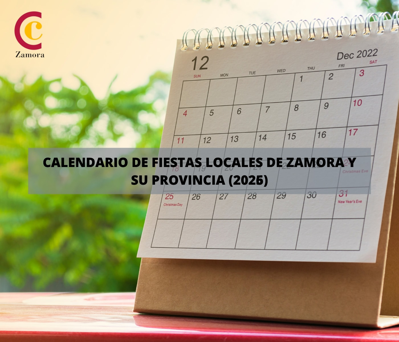 Festivos En Zamora 2026: Capital, Pueblos Y Calendario | Calendario Laboral 2026 Zamora